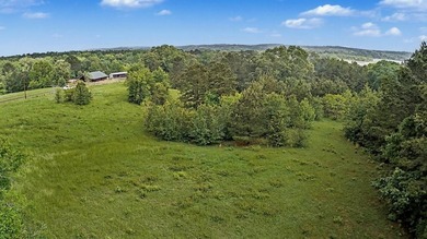 Your Dream Property Awaits - 33 Acres on Toledo Bend Imagine - photo 39