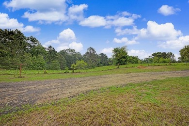 Your Dream Property Awaits - 33 Acres on Toledo Bend Imagine - photo 40
