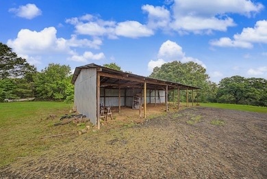 Your Dream Property Awaits - 33 Acres on Toledo Bend Imagine - photo 41