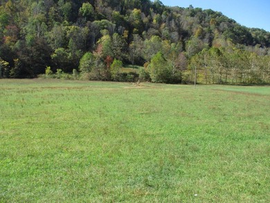This large 355 acre tract is a rare find for this area - photo 41