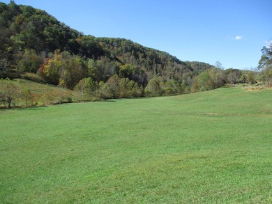 This large 355 acre tract is a rare find for this area - photo 42