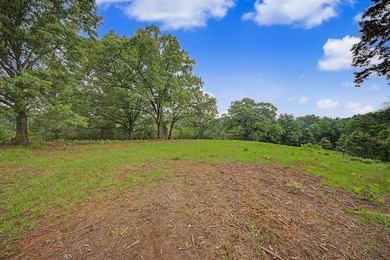 Your Dream Property Awaits - 33 Acres on Toledo Bend Imagine - photo 43