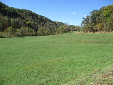This large 355 acre tract is a rare find for this area - photo 43