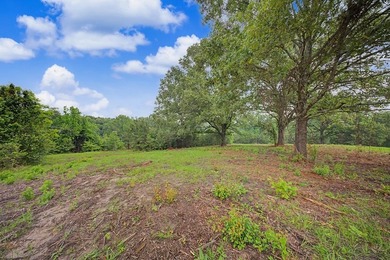 Your Dream Property Awaits - 33 Acres on Toledo Bend Imagine - photo 44