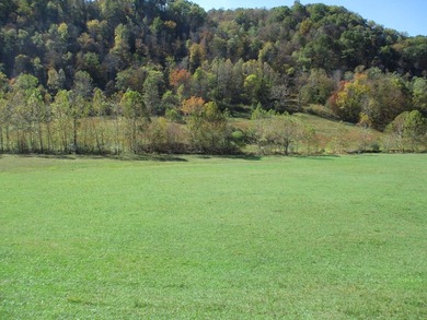 This large 355 acre tract is a rare find for this area - photo 44