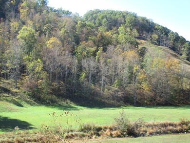 This large 355 acre tract is a rare find for this area - photo 45