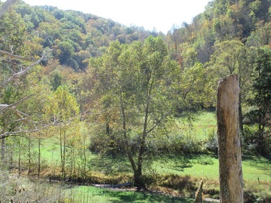 This large 355 acre tract is a rare find for this area - photo 46