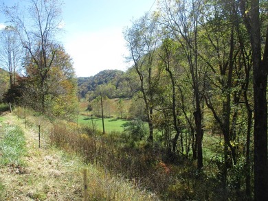 This large 355 acre tract is a rare find for this area - photo 47