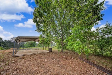 Your Dream Property Awaits - 33 Acres on Toledo Bend Imagine - photo 48