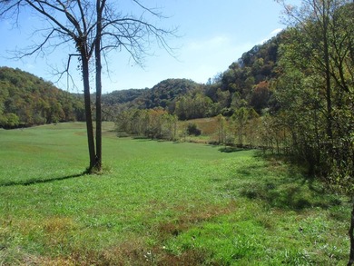 This large 355 acre tract is a rare find for this area - photo 48