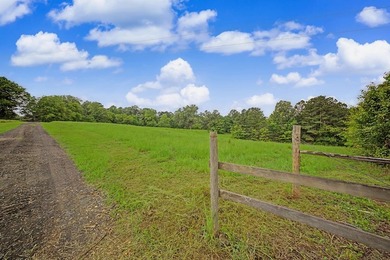 Your Dream Property Awaits - 33 Acres on Toledo Bend Imagine - photo 49