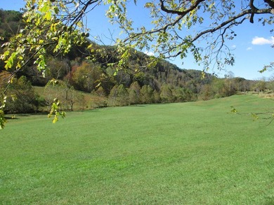 This large 355 acre tract is a rare find for this area - photo 49