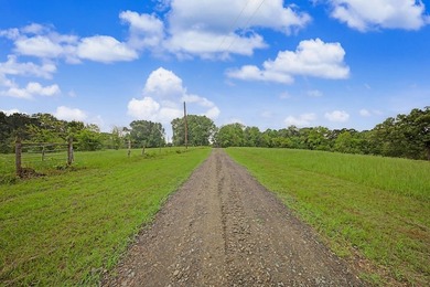 Your Dream Property Awaits - 33 Acres on Toledo Bend Imagine - photo 50