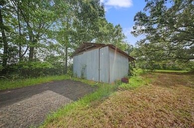 Your Dream Property Awaits - 33 Acres on Toledo Bend Imagine - photo 51