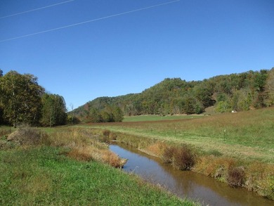 This large 355 acre tract is a rare find for this area - photo 51