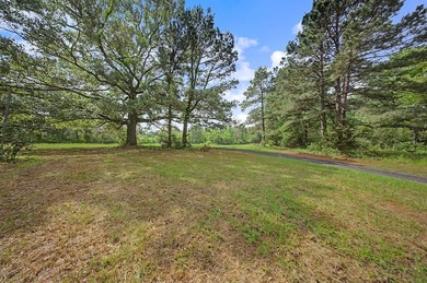 Your Dream Property Awaits - 33 Acres on Toledo Bend Imagine - photo 52