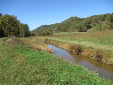 This large 355 acre tract is a rare find for this area - photo 52