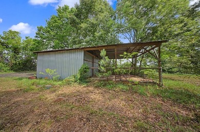 Your Dream Property Awaits - 33 Acres on Toledo Bend Imagine - photo 53