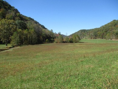 This large 355 acre tract is a rare find for this area - photo 53