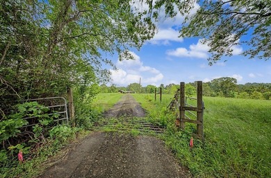 Your Dream Property Awaits - 33 Acres on Toledo Bend Imagine - photo 54