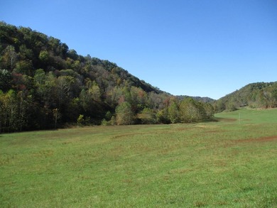 This large 355 acre tract is a rare find for this area - photo 54