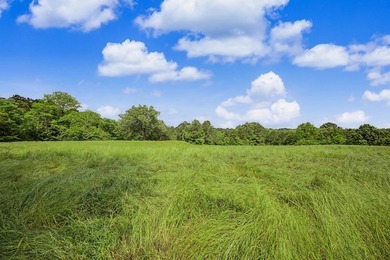 Your Dream Property Awaits - 33 Acres on Toledo Bend Imagine - photo 55