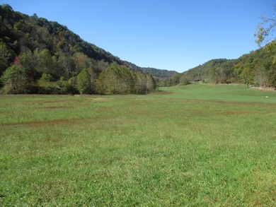 This large 355 acre tract is a rare find for this area - photo 55