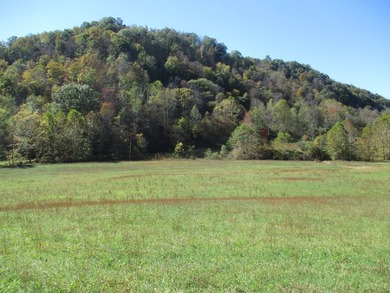 This large 355 acre tract is a rare find for this area - photo 56