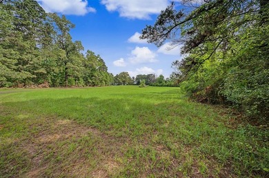 Your Dream Property Awaits - 33 Acres on Toledo Bend Imagine - photo 57