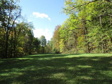 This large 355 acre tract is a rare find for this area - photo 57