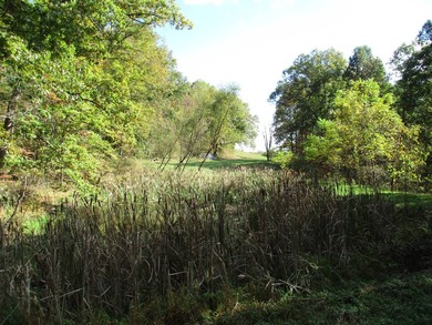 This large 355 acre tract is a rare find for this area - photo 58
