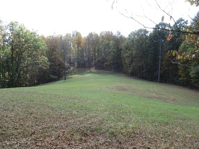 This large 355 acre tract is a rare find for this area - photo 59