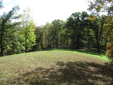 This large 355 acre tract is a rare find for this area - photo 60