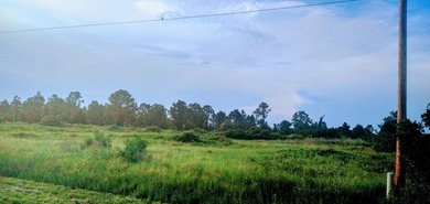 Lehigh Acres Area Lot For Sale in Lehigh Acres Florida
