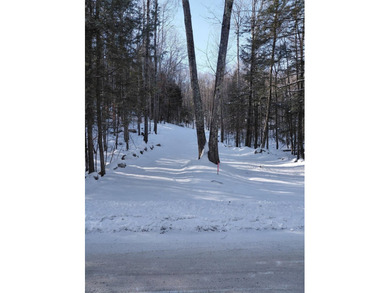Discover the perfect setting for your next home on Quaker Road - photo 21