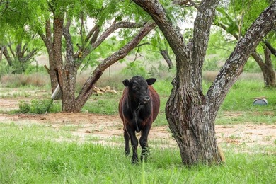 (private lake, pond, creek) Acreage For Sale in Brownwood Texas