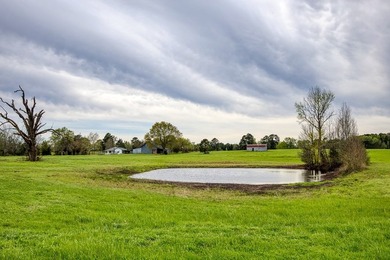 Charming Farmhouse with recent rennovations on 15 beautiful - photo 33