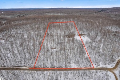 (private lake, pond, creek) Acreage For Sale in Elmira Michigan