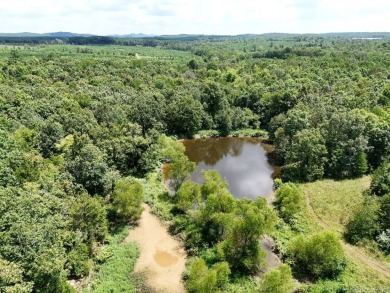 (private lake, pond, creek) Acreage For Sale in Cove Arkansas