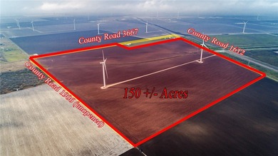 The rapidly expanding San Patricio County economic expansion - photo 3