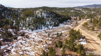 Panhandle Reservoir Lot For Sale in Red Feather Lakes Colorado