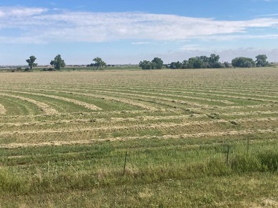 This exceptional 295 acre irrigated farm and feedlot spans two - photo 6