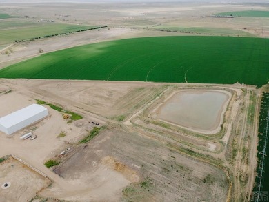 This exceptional 295 acre irrigated farm and feedlot spans two - photo 7