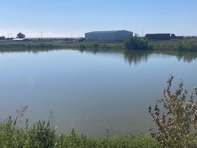 This exceptional 295 acre irrigated farm and feedlot spans two - photo 8