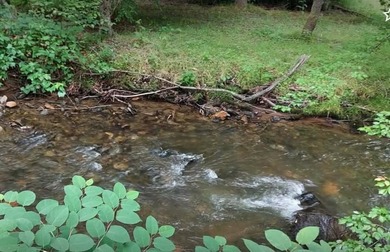 +9.7 unrestricted acres bordering Cherokee land and a - photo 19