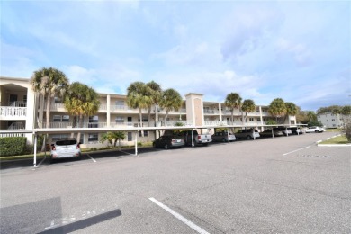 (private lake, pond, creek) Condo For Sale in Dunedin Florida