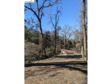 Discover this a serene 6.4-acre property offering the perfect - photo 2