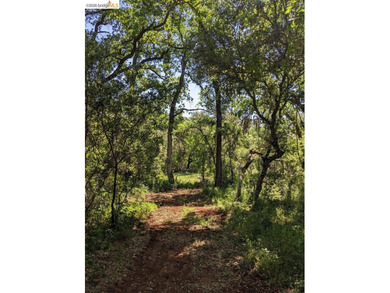 Discover this a serene 6.4-acre property offering the perfect - photo 3