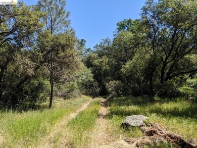 Discover this a serene 6.4-acre property offering the perfect - photo 4