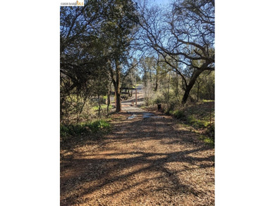 Discover this a serene 6.4-acre property offering the perfect - photo 7